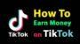 How to Make Money on TikTok in 2020